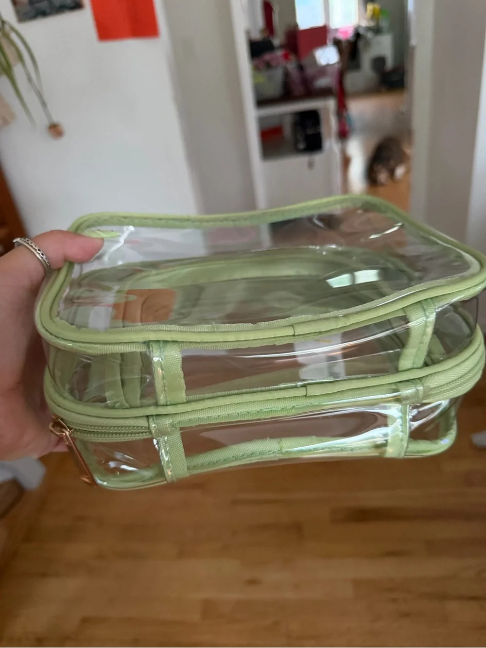 Target Clear Zipper Pouch Set in Light Green